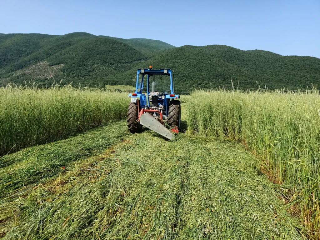Trattore al lavoro in un campo verde
