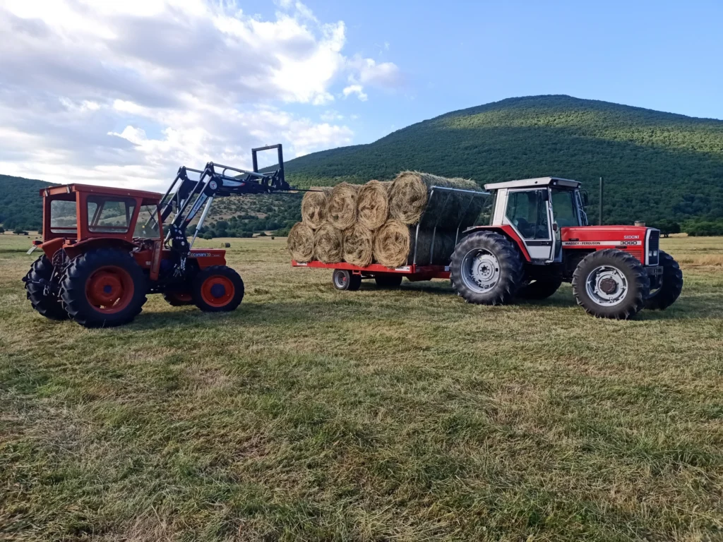 Trattori e rimorchio carico di balle di fieno
