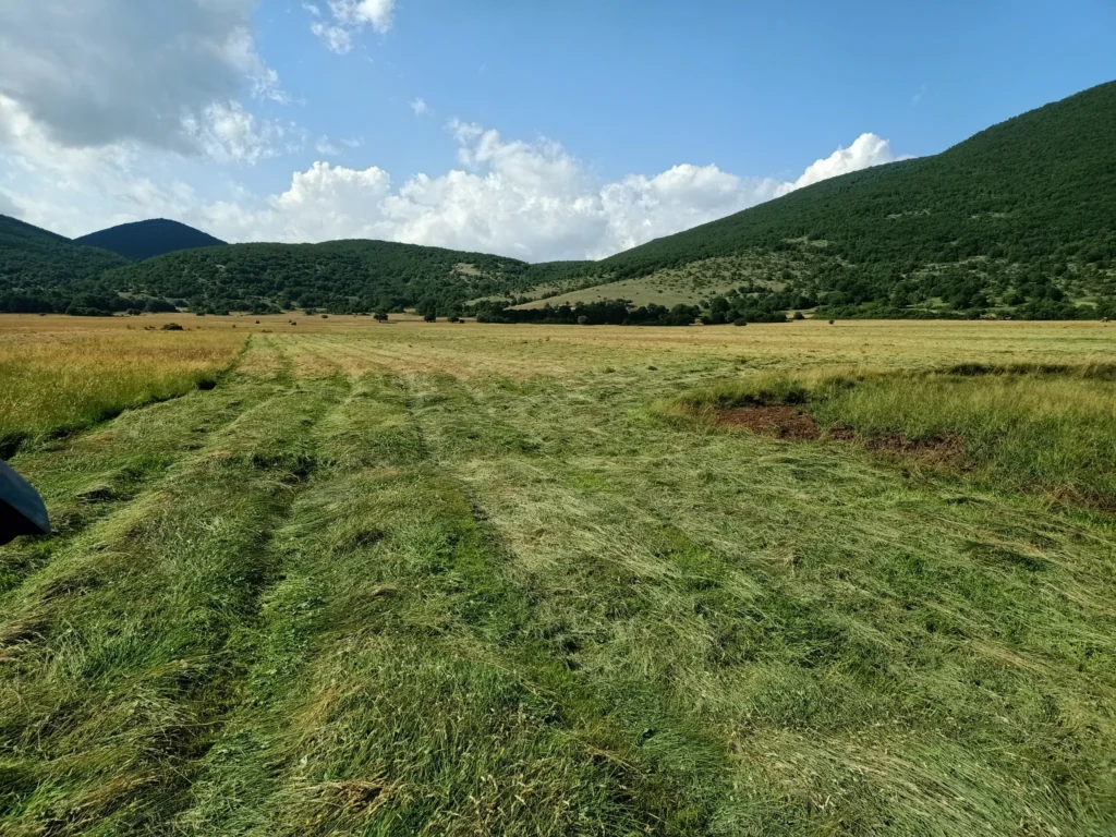 Prato e colline sotto un cielo nuvoloso